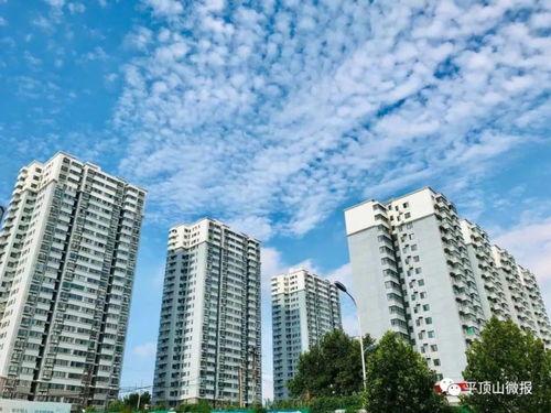 广东微城最新爆料,揭秘神秘项目背后的惊人真相！  第1张